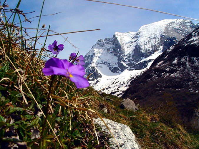 photo 21 Owner direct vacation rental Champagny en Vanoise appartement Rhone-Alps Savoie Surroundings