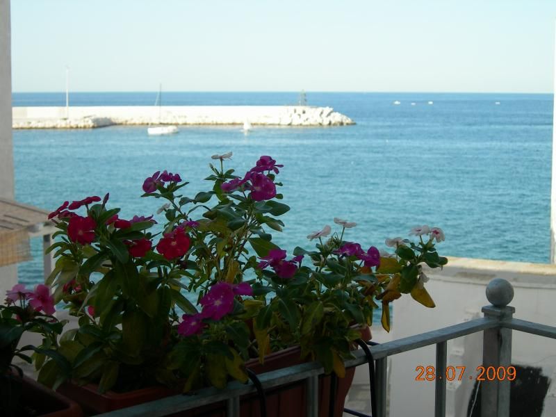 photo 13 Owner direct vacation rental Monopoli appartement Puglia Bari Province Balcony