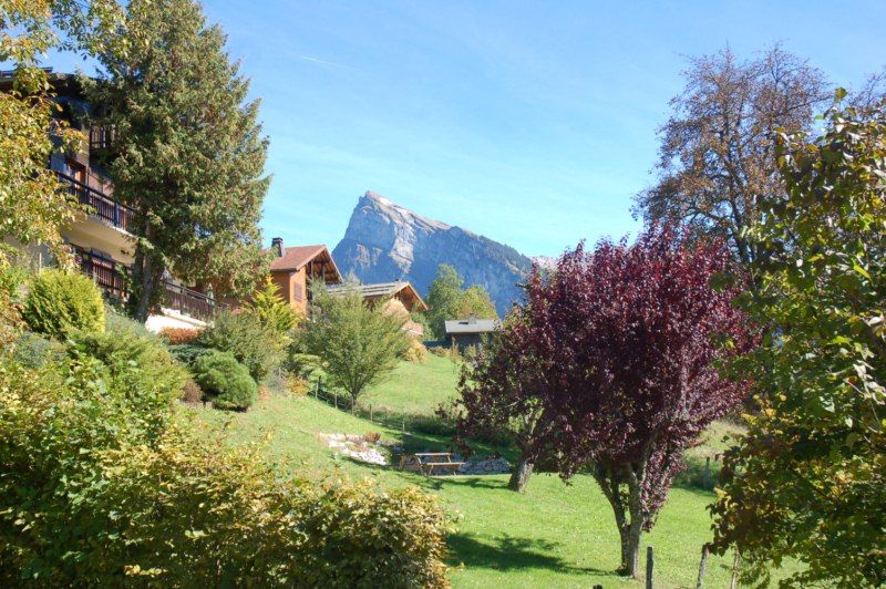 photo 17 Owner direct vacation rental Samons appartement Rhone-Alps Haute-Savoie View from the property