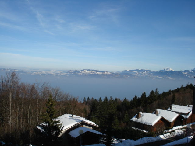 photo 6 Owner direct vacation rental Thollon Les Mmises appartement Rhone-Alps Haute-Savoie View from the balcony