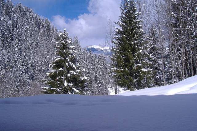 photo 0 Owner direct vacation rental Areches Beaufort studio Rhone-Alps Savoie View from the property