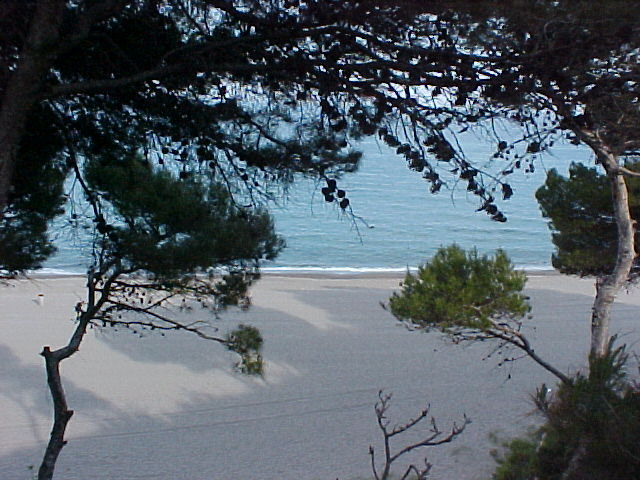 photo 3 Owner direct vacation rental Miami Playa appartement Catalonia Tarragona (province of) View from terrace