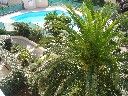 photo 11 Owner direct vacation rental Cap d'Agde appartement Languedoc-Roussillon Hrault View from the balcony