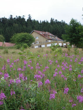 photo 15 Owner direct vacation rental Grardmer appartement Lorraine Vosges Outside view