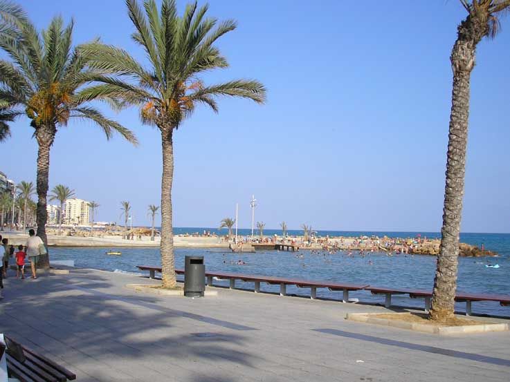 photo 16 Owner direct vacation rental Torrevieja appartement Valencian Community Alicante (province of) Surroundings