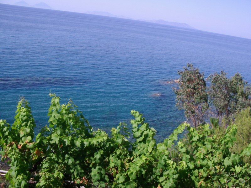 photo 12 Owner direct vacation rental Capo d'Orlando appartement Sicily Messina Province Other view