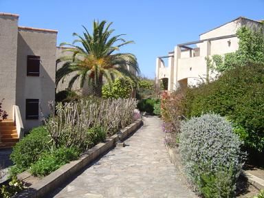 photo 1 Owner direct vacation rental Calvi appartement Corsica Corsica