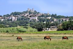 photo 27 Owner direct vacation rental Cogolin appartement Provence-Alpes-Cte d'Azur Var Other view