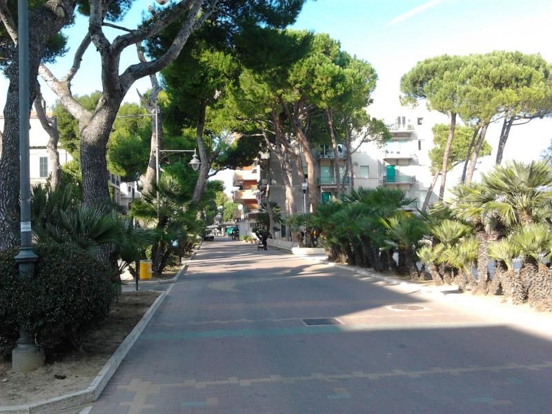 photo 16 Owner direct vacation rental Silvi Marina appartement Abruzzo Teramo Province