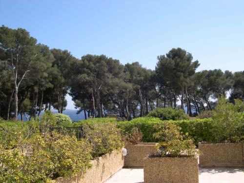 photo 3 Owner direct vacation rental Bandol appartement Provence-Alpes-Cte d'Azur Var View from terrace
