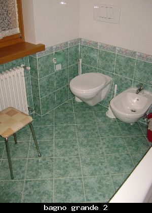 photo 7 Owner direct vacation rental Selva di Cadore appartement Veneto Belluno Province bathroom