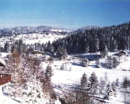 photo 27 Owner direct vacation rental Grardmer chalet Lorraine Vosges View from the balcony