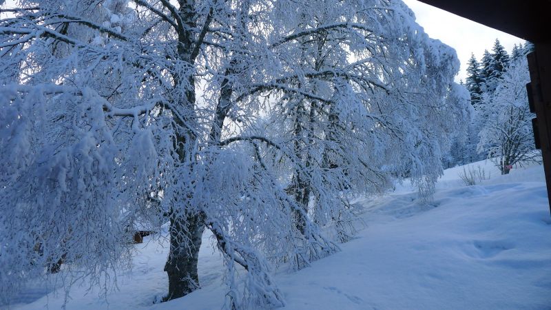 photo 18 Owner direct vacation rental Les Gets chalet Rhone-Alps Haute-Savoie View from the property