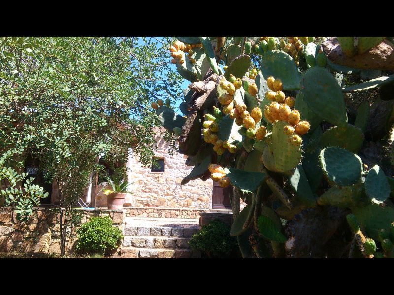 photo 2 Owner direct vacation rental Santa Maria Navarrese villa Sardinia Ogliastra Province