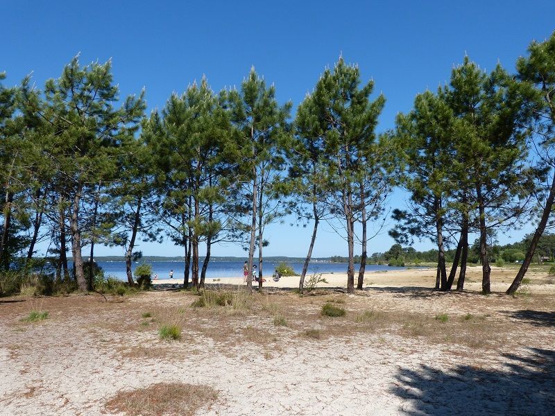 photo 15 Owner direct vacation rental Lacanau maison Aquitaine Gironde Beach