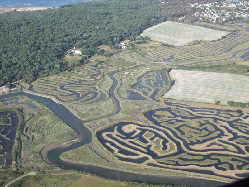 photo 5 Owner direct vacation rental Jard sur mer gite Pays de la Loire Vende