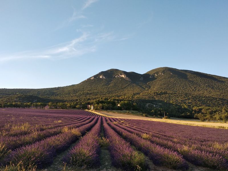 photo 12 Owner direct vacation rental Apt villa Provence-Alpes-Cte d'Azur Vaucluse Surroundings