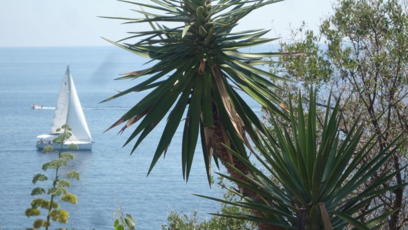 photo 16 Owner direct vacation rental Solenzara appartement Corsica Corse du Sud Other view