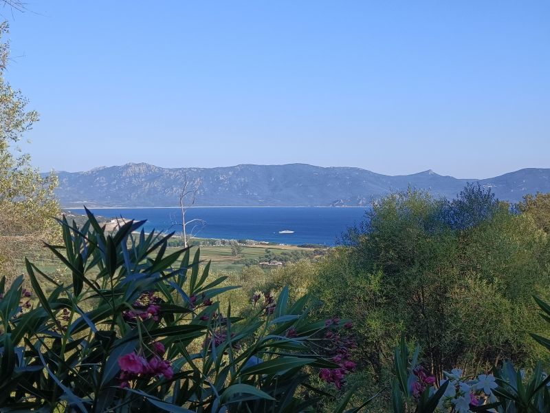 photo 11 Owner direct vacation rental Serra-di-Ferro studio Corsica Corse du Sud