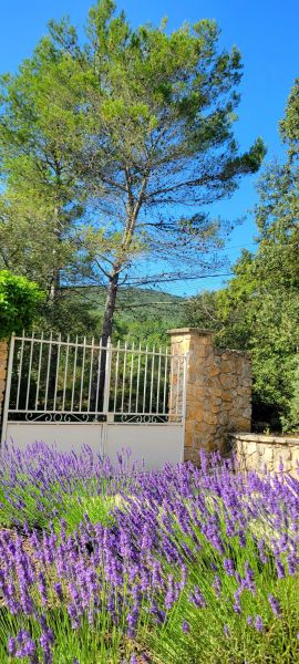 photo 23 Owner direct vacation rental Rocbaron gite Provence-Alpes-Cte d'Azur Var
