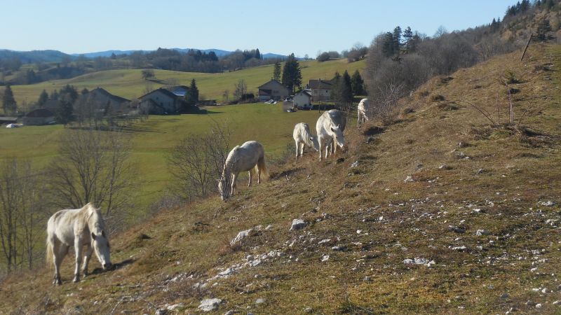 photo 28 Owner direct vacation rental Foncine le Bas maison Franche-Comt Jura Other view