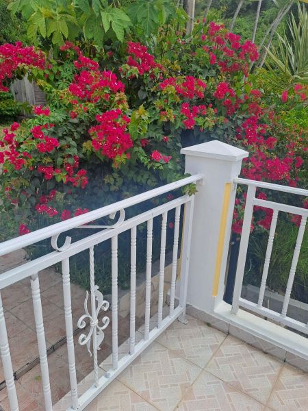 photo 8 Owner direct vacation rental Vieux-Fort villa Basse Terre  Outside view