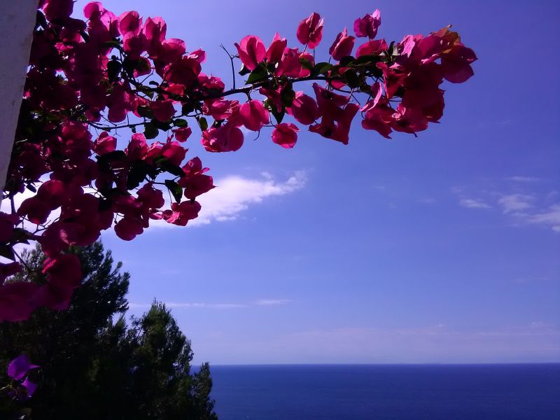 photo 4 Owner direct vacation rental Sperlonga villa Lazio Latina Province