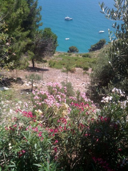 photo 26 Owner direct vacation rental Sperlonga villa Lazio Latina Province View from terrace