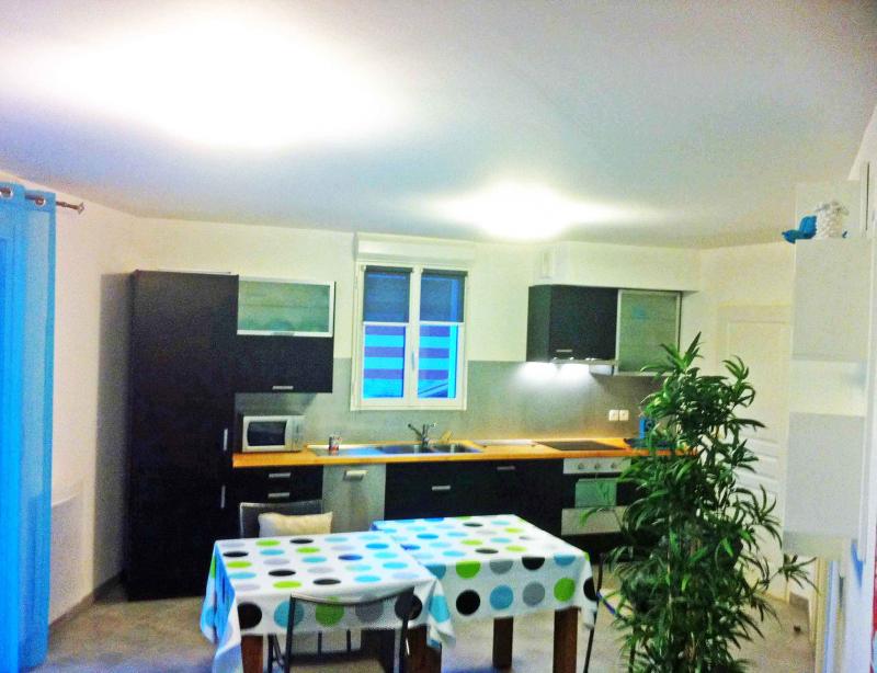 photo 4 Owner direct vacation rental Arcachon appartement Aquitaine Gironde