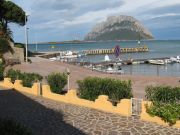 Sardinia holiday rentals: appartement no. 89434