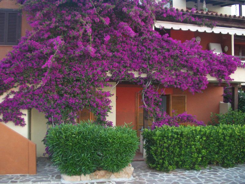 photo 2 Owner direct vacation rental Porto San Paolo appartement Sardinia Olbia Tempio Province Outside view
