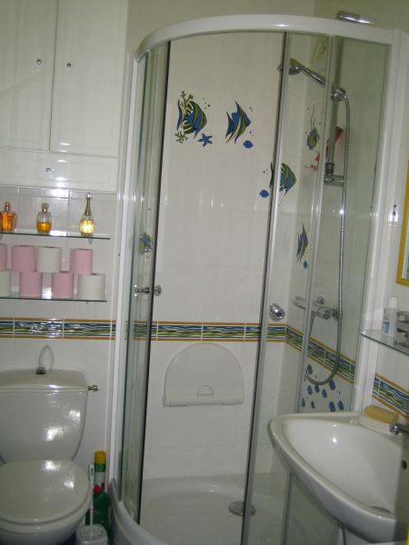 photo 4 Owner direct vacation rental Pornic appartement Pays de la Loire Loire-Atlantique bathroom