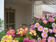 Ugento - Torre San Giovanni holiday rentals: appartement no. 102810