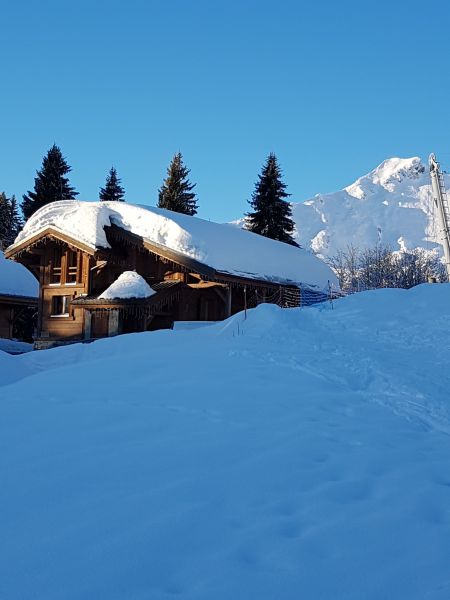 photo 18 Owner direct vacation rental Praz de Lys Sommand chalet Rhone-Alps Haute-Savoie Outside view