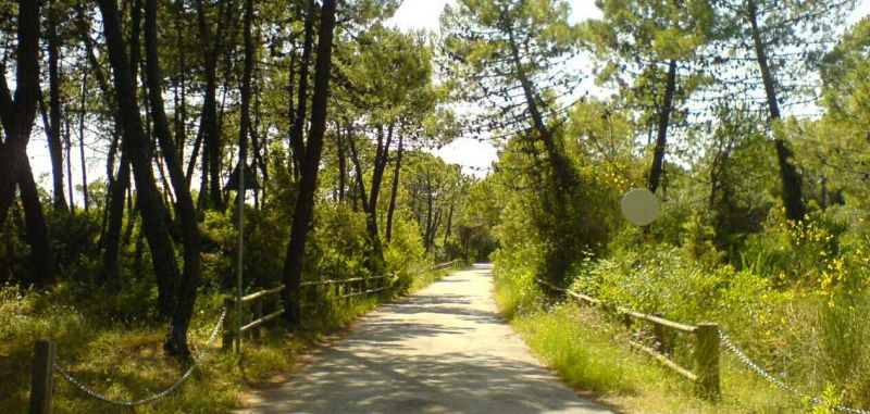 photo 25 Owner direct vacation rental Principina a Mare appartement Tuscany Grosseto Province Surroundings