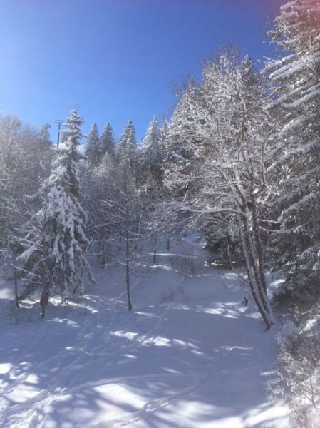 photo 10 Owner direct vacation rental Valmorel appartement Rhone-Alps Savoie View from the property