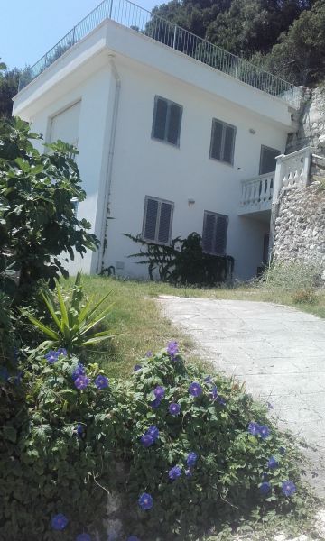 photo 4 Owner direct vacation rental Vieste villa Puglia Foggia Province