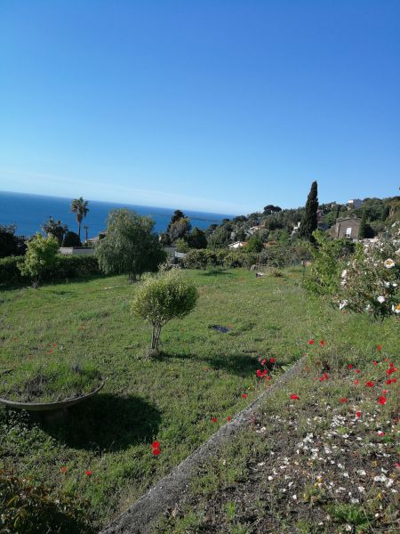 photo 22 Owner direct vacation rental Cannes villa Provence-Alpes-Cte d'Azur Alpes-Maritimes Garden