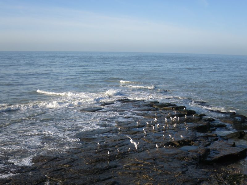 photo 6 Owner direct vacation rental Wimereux appartement Nord-Pas de Calais Pas de Calais View from the property