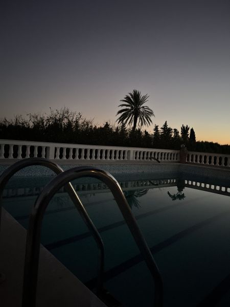 photo 25 Owner direct vacation rental Nabeul villa   Swimming pool