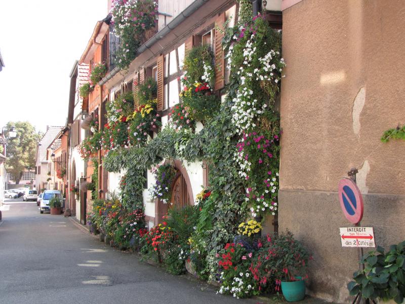 photo 12 Owner direct vacation rental Ribeauvill appartement Alsace Haut-Rhin Surroundings