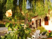 Languedoc-Roussillon holiday rentals: appartement no. 74705