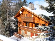 Valfrjus holiday rentals for 14 people: chalet no. 79673