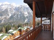 Italian Alps ski resort rentals: appartement no. 81669