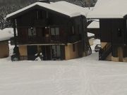 Haute-Savoie mountain and ski rentals: appartement no. 91018