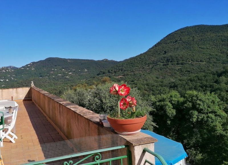 photo 20 Owner direct vacation rental Frjus appartement Provence-Alpes-Cte d'Azur Var Surroundings