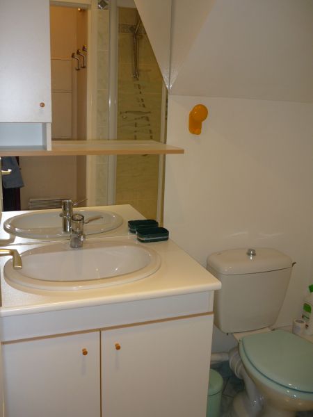 photo 9 Owner direct vacation rental Saint Lary Soulan appartement Midi-Pyrnes Hautes-Pyrnes Washing facilities 2