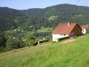 Vosges Mountains holiday rentals for 4 people: appartement no. 117231