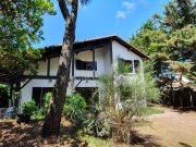 Arcachon holiday rentals for 8 people: villa no. 68353