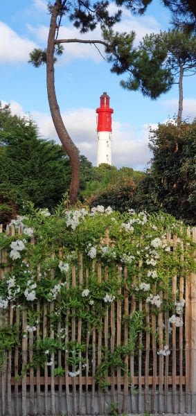 photo 28 Owner direct vacation rental Cap Ferret villa Aquitaine Gironde Other view